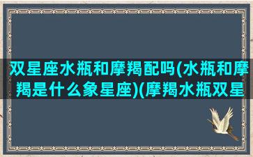 双星座水瓶和摩羯配吗(水瓶和摩羯是什么象星座)(摩羯水瓶双星座的人)