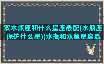 双水瓶座和什么星座最配(水瓶座保护什么星)(水瓶和双鱼星座最配)