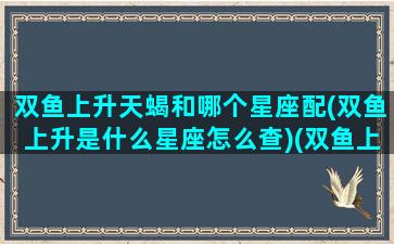 双鱼上升天蝎和哪个星座配(双鱼上升是什么星座怎么查)(双鱼上升星座天蝎座女生)