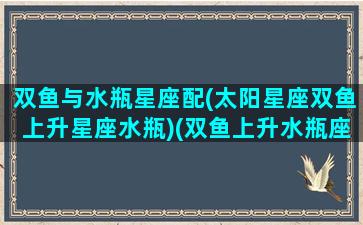 双鱼与水瓶星座配(太阳星座双鱼上升星座水瓶)(双鱼上升水瓶座怎样)