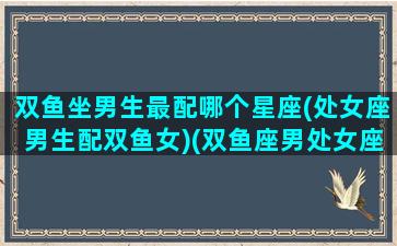 双鱼坐男生最配哪个星座(处女座男生配双鱼女)(双鱼座男处女座女配对)