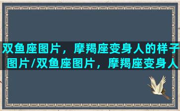 双鱼座图片，摩羯座变身人的样子图片/双鱼座图片，摩羯座变身人的样子图片-我的网站