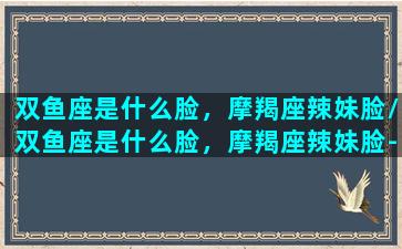 双鱼座是什么脸，摩羯座辣妹脸/双鱼座是什么脸，摩羯座辣妹脸-我的网站