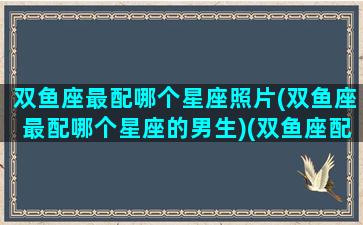 双鱼座最配哪个星座照片(双鱼座最配哪个星座的男生)(双鱼座配什么星座的)