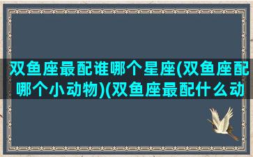 双鱼座最配谁哪个星座(双鱼座配哪个小动物)(双鱼座最配什么动物)