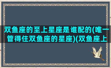 双鱼座的至上星座是谁配的(唯一管得住双鱼座的星座)(双鱼座上帝的宠儿)