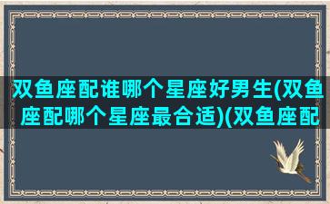 双鱼座配谁哪个星座好男生(双鱼座配哪个星座最合适)(双鱼座配什么座的男生)