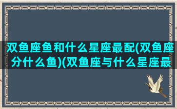 双鱼座鱼和什么星座最配(双鱼座分什么鱼)(双鱼座与什么星座最搭配)