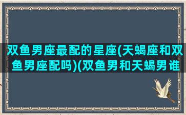 双鱼男座最配的星座(天蝎座和双鱼男座配吗)(双鱼男和天蝎男谁厉害)