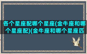 各个星座配哪个星座(金牛座和哪个星座配)(金牛座和哪个星座匹配)