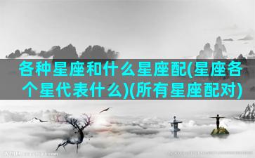 各种星座和什么星座配(星座各个星代表什么)(所有星座配对)