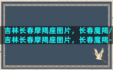 吉林长春摩羯座图片，长春魔羯/吉林长春摩羯座图片，长春魔羯-我的网站