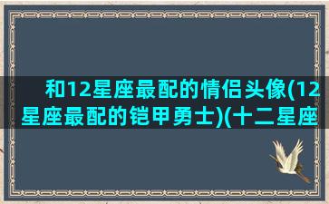 和12星座最配的情侣头像(12星座最配的铠甲勇士)(十二星座的配对情侣头像图片)