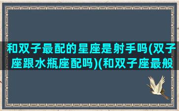 和双子最配的星座是射手吗(双子座跟水瓶座配吗)(和双子座最般配的星座)