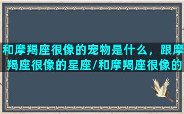 和摩羯座很像的宠物是什么，跟摩羯座很像的星座/和摩羯座很像的宠物是什么，跟摩羯座很像的星座-我的网站