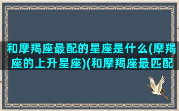 和摩羯座最配的星座是什么(摩羯座的上升星座)(和摩羯座最匹配的星座是哪个星座)