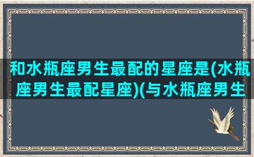 和水瓶座男生最配的星座是(水瓶座男生最配星座)(与水瓶座男生最般配的星座)