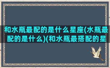 和水瓶最配的是什么星座(水瓶最配的是什么)(和水瓶最搭配的星座)