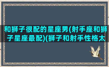 和狮子很配的星座男(射手座和狮子星座最配)(狮子和射手性格太像了)