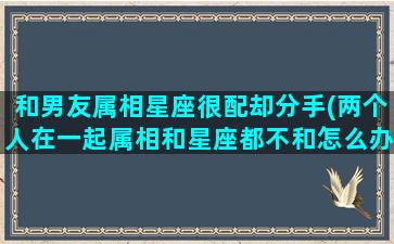 和男友属相星座很配却分手(两个人在一起属相和星座都不和怎么办)