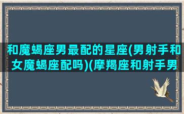 和魔蝎座男最配的星座(男射手和女魔蝎座配吗)(摩羯座和射手男配不配)