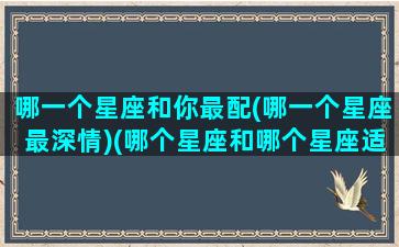 哪一个星座和你最配(哪一个星座最深情)(哪个星座和哪个星座适合在一起)