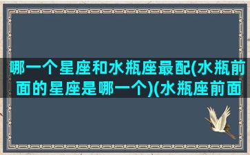 哪一个星座和水瓶座最配(水瓶前面的星座是哪一个)(水瓶座前面的一个星座是什么)