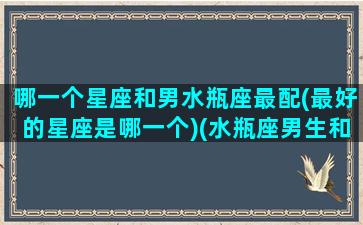 哪一个星座和男水瓶座最配(最好的星座是哪一个)(水瓶座男生和哪个星座配)