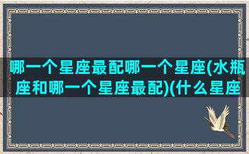 哪一个星座最配哪一个星座(水瓶座和哪一个星座最配)(什么星座和水瓶座最般配)