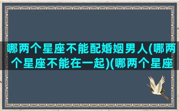 哪两个星座不能配婚姻男人(哪两个星座不能在一起)(哪两个星座不合)