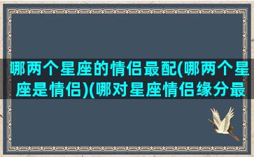 哪两个星座的情侣最配(哪两个星座是情侣)(哪对星座情侣缘分最深)