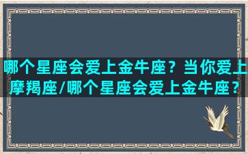 哪个星座会爱上金牛座？当你爱上摩羯座/哪个星座会爱上金牛座？当你爱上摩羯座-我的网站