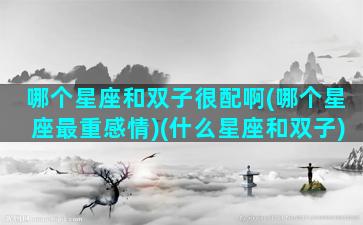 哪个星座和双子很配啊(哪个星座最重感情)(什么星座和双子)