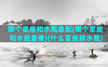 哪个星座和水瓶最配(哪个星座和水瓶最像)(什么星座跟水瓶)