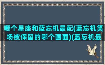 哪个星座和蓝忘机最配(蓝忘机笑场被保留的哪个画面)(蓝忘机最重要的人是谁)