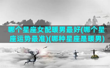 哪个星座女配暖男最好(哪个星座运势最准)(哪种星座是暖男)