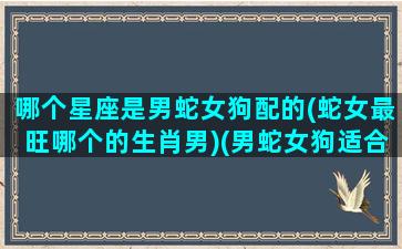 哪个星座是男蛇女狗配的(蛇女最旺哪个的生肖男)(男蛇女狗适合生什么属相的宝宝)