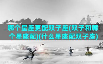 哪个星座更配双子座(双子和哪个星座配)(什么星座配双子座)