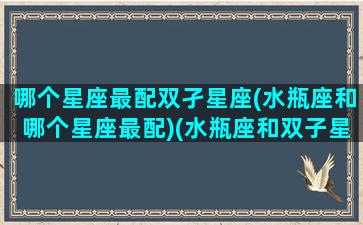 哪个星座最配双孑星座(水瓶座和哪个星座最配)(水瓶座和双子星座哪个更厉害)