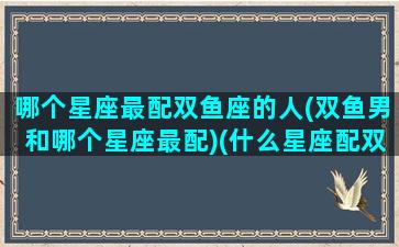 哪个星座最配双鱼座的人(双鱼男和哪个星座最配)(什么星座配双鱼男)