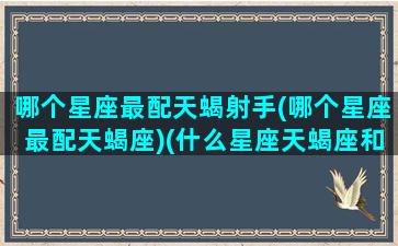 哪个星座最配天蝎射手(哪个星座最配天蝎座)(什么星座天蝎座和什么星座最般配)