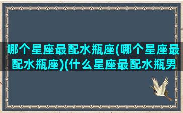 哪个星座最配水瓶座(哪个星座最配水瓶座)(什么星座最配水瓶男)