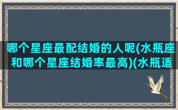 哪个星座最配结婚的人呢(水瓶座和哪个星座结婚率最高)(水瓶适合结婚的星座)