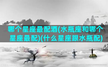 哪个星座最配酒(水瓶座和哪个星座最配)(什么星座跟水瓶配)