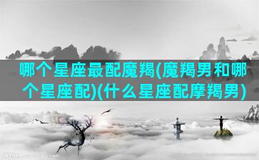 哪个星座最配魔羯(魔羯男和哪个星座配)(什么星座配摩羯男)