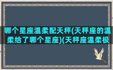 哪个星座温柔配天秤(天秤座的温柔给了哪个星座)(天秤座温柔极端完美刺激)