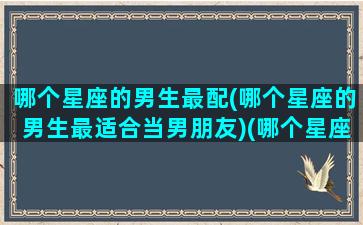 哪个星座的男生最配(哪个星座的男生最适合当男朋友)(哪个星座的男生好一点)