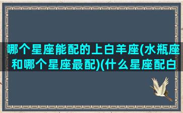 哪个星座能配的上白羊座(水瓶座和哪个星座最配)(什么星座配白羊)