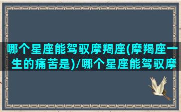 哪个星座能驾驭摩羯座(摩羯座一生的痛苦是)/哪个星座能驾驭摩羯座(摩羯座一生的痛苦是)-我的网站