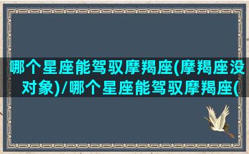 哪个星座能驾驭摩羯座(摩羯座没对象)/哪个星座能驾驭摩羯座(摩羯座没对象)-我的网站